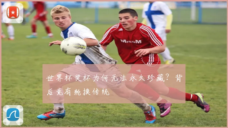 世界杯奖杯为何无法永久珍藏?背后竟有轮换传统