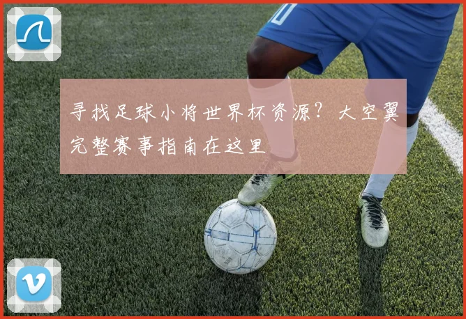 寻找足球小将世界杯资源？大空翼完整赛事指南在这里