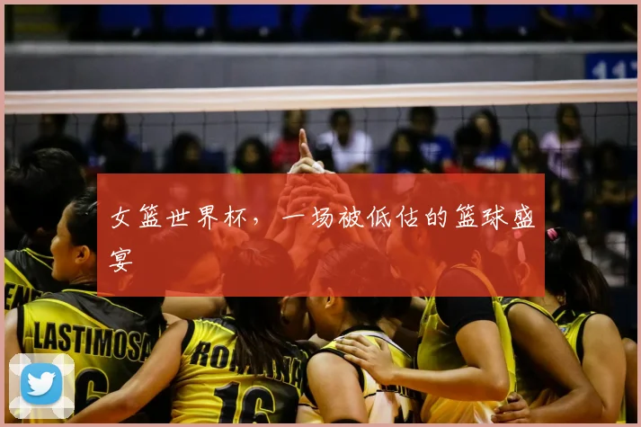 女篮世界杯,一场被低估的篮球盛宴