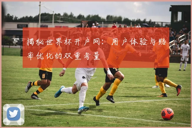 揭秘世界杯开户网:用户体验与赔率优化的双重考量
