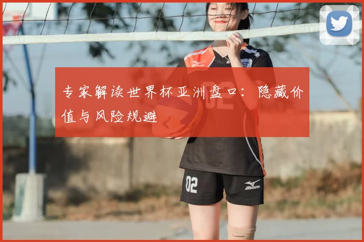 专家解读世界杯亚洲盘口:隐藏价值与风险规避