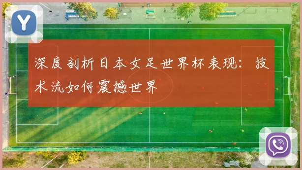 深度剖析日本女足世界杯表现：技术流如何震撼世界