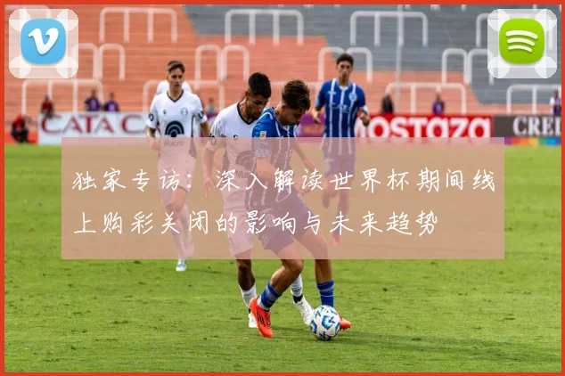 独家专访:深入解读世界杯期间线上购彩关闭的影响与未来趋势