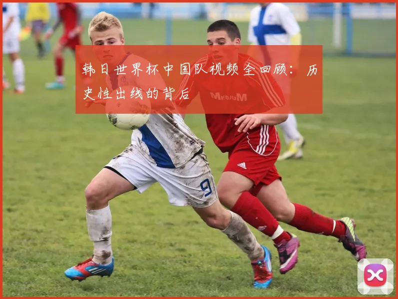 韩日世界杯中国队视频全回顾：历史性出线的背后
