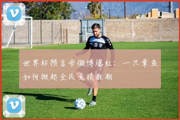 世界杯预言帝微博爆红：一只章鱼如何掀起全民竞猜狂潮