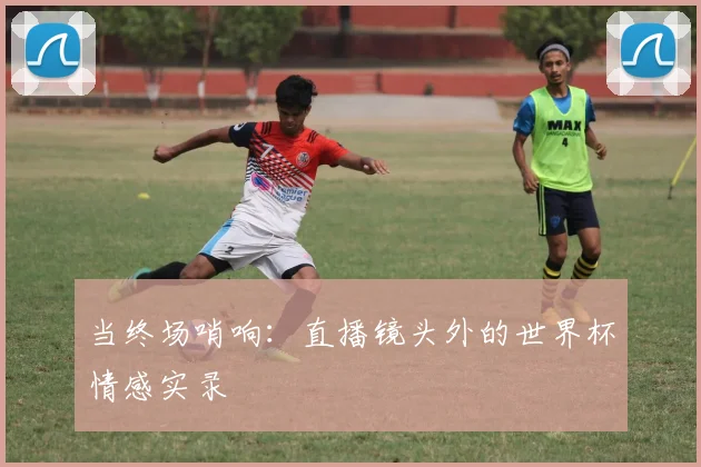 当终场哨响：直播镜头外的世界杯情感实录