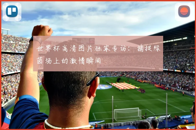 世界杯高清图片独家专访：捕捉绿茵场上的激情瞬间