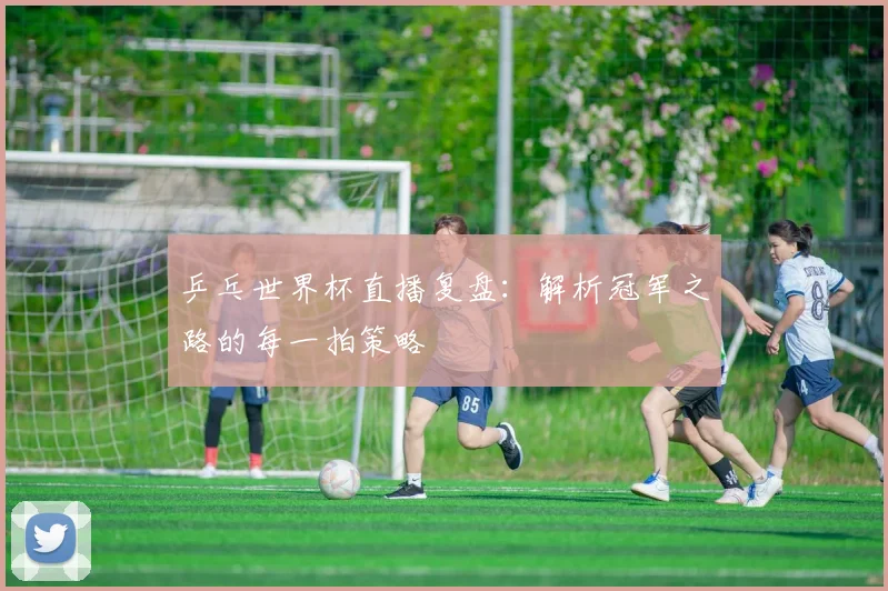 乒乓世界杯直播复盘：解析冠军之路的每一拍策略
